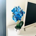 Blue Orchid Apartment, Iun S8460