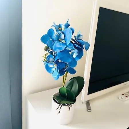 Blue Orchid Apartment, Iun S8460