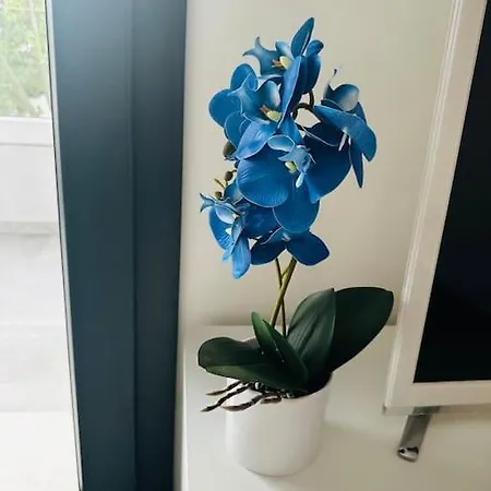 Apartment Blue Orchid Apartment, Iun S8460 Quartu SantʼElena