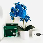 Blue Orchid Apartment, Iun S8460 Apartment
