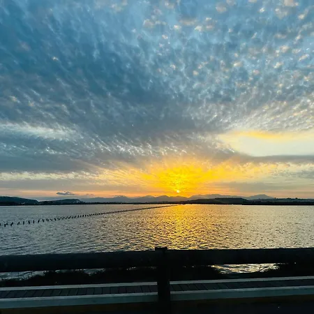 Blue Orchid Apartment, Iun S8460 *