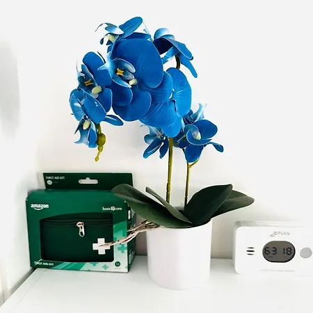 Blue Orchid Apartment, Iun S8460 Apartamento